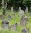 Židovský hřbitov u Malé Šitboře